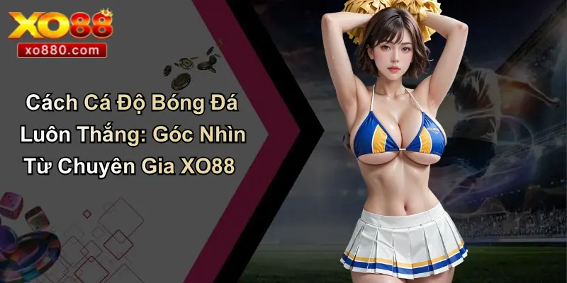 Cách Cá Độ Bóng Đá Luôn Thắng