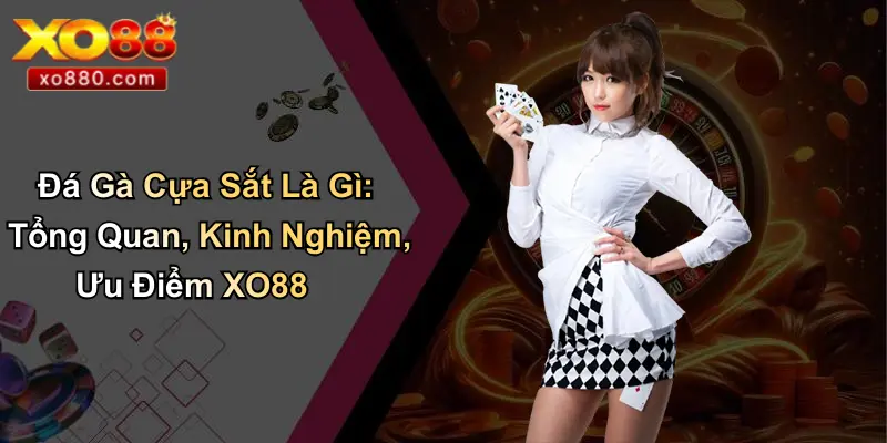 Đá Gà Cựa Sắt Là Gì