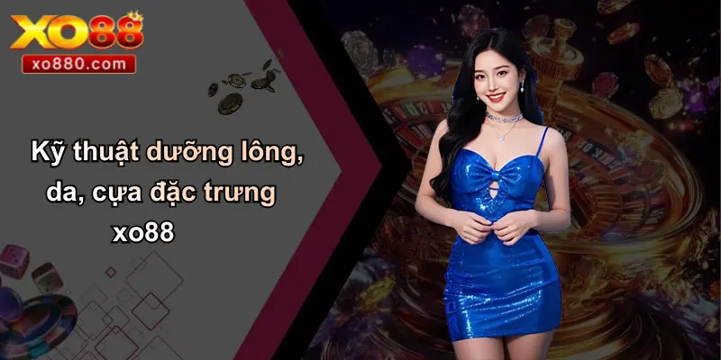 Cách Nuôi Gà Đá: Hướng Dẫn Chăm Sóc Huấn Luyện Gà Chiến XO88 5 Kỹ thuật dưỡng lông, da, cựa đặc trưng xo88